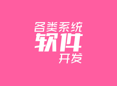 進(jìn)入了解各類(lèi)系統(tǒng)、軟件開(kāi)發(fā)